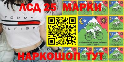 амф Аша