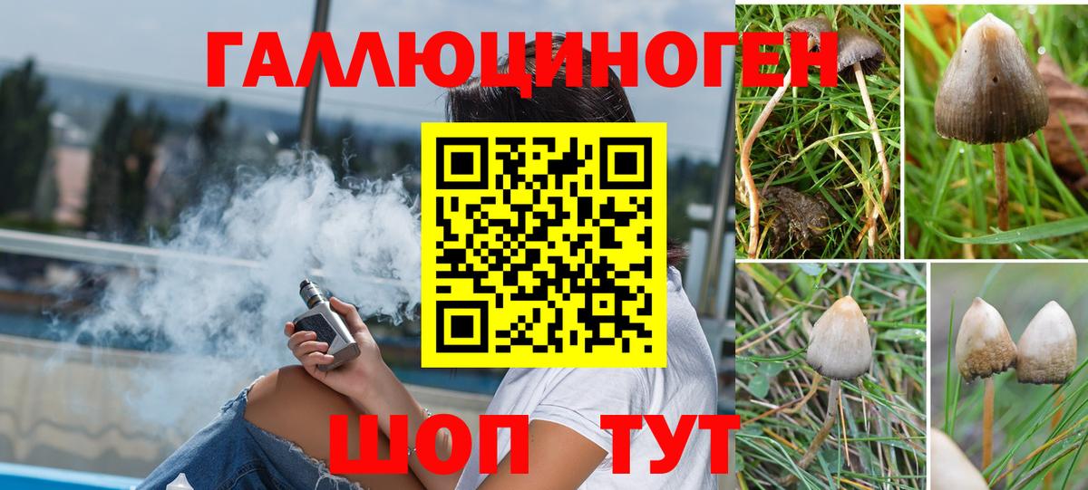 Галлюциногенные грибы Cubensis  Псилоцибиновые грибы мицелий  Вход с VPN  Ачхой-Мартан 