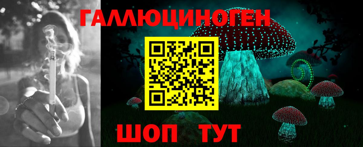 Галлюциногенные грибы Cubensis Ачхой-Мартан